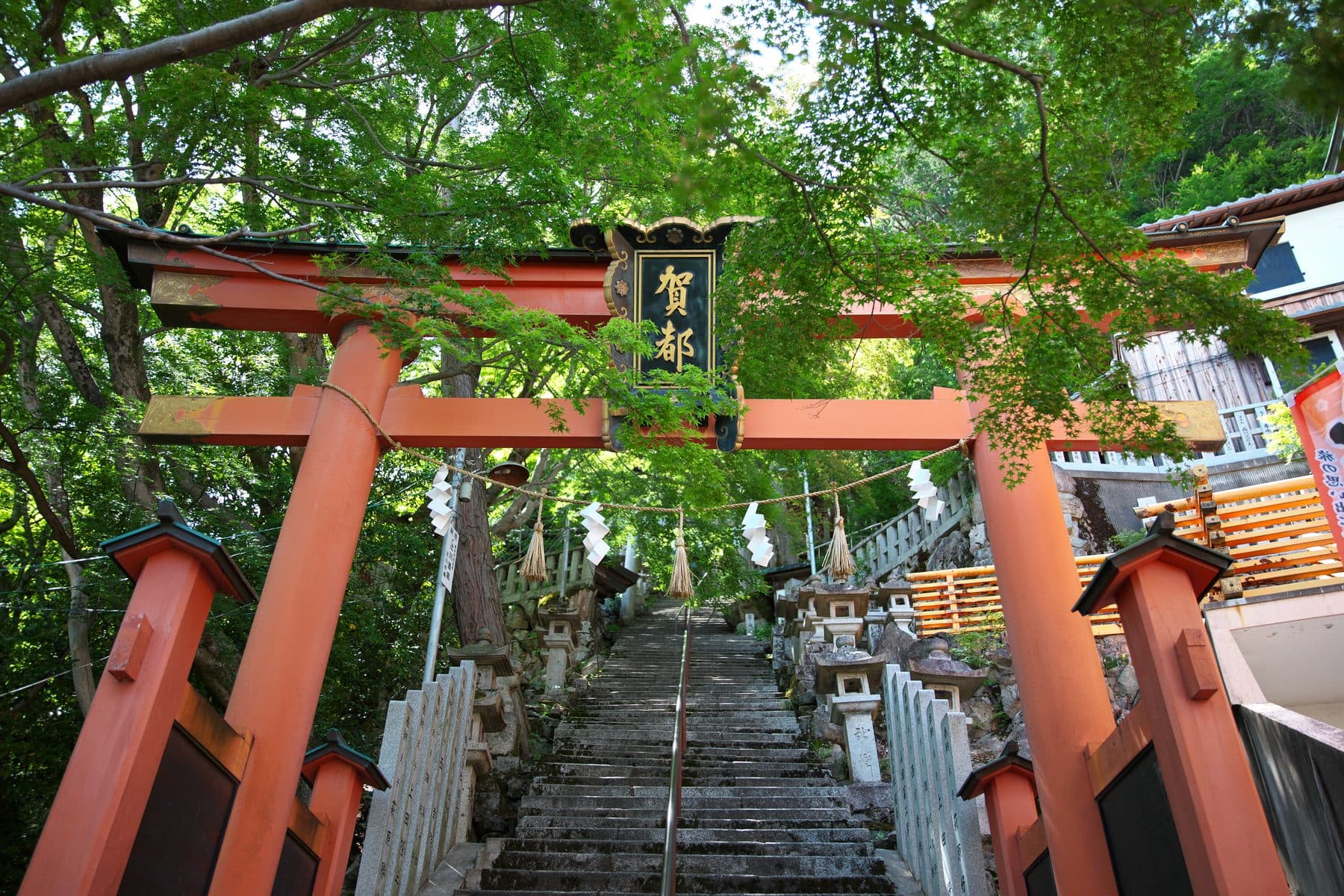 「賀都」の扁額が掲げられた朱塗りの鳥居の向こうに、緑に囲まれた石段が続く
